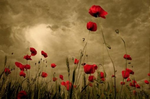 Postagem mais antiga Início