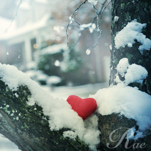 heart, love, snow, tree, white, winter