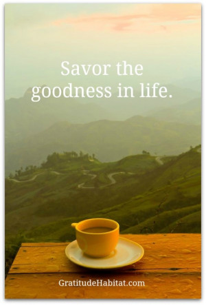 ... good cup of coffee and a quiet morning. www.GratitudeHabitat.com