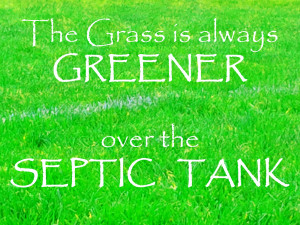 Grass+is+always+greener.jpg