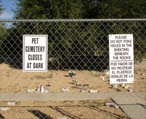 pet cemetery closes at dark