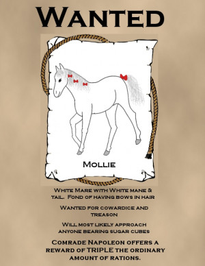 Mollie Animal Farm Mollie 
