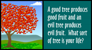 Does your Life Bear Good Fruit - Free Christian Clip Art Graphic