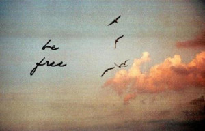 be free, birds, free, freedom, quotes, sky