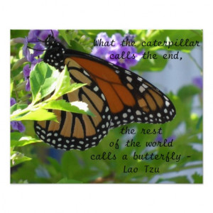 Monarch Butterfly Inspirational Quote Poster Photo