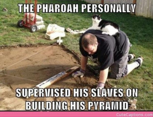 Cat The Kind And Must Rule Over His Slaves Funny Pictures