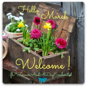 Welcome March! via Facebook.com/foreverandadayenchanted