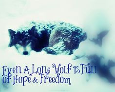sayings lone wolf quotes tumblr more lonely wolf quotes wolf quote ...