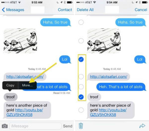 ability delete single text messages from your message