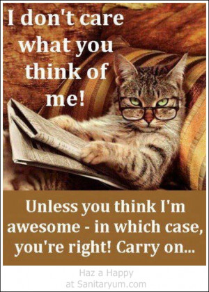 Funny Clean Animal Quotes most funny cats ever