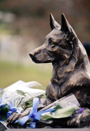 police dogs killed on duty it features a bronze german shepherd dog ...
