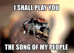 Spider bongos let me play the song of my people