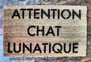 Funny and Humorous Doormat Quotes – Buzzle Web Portal: Intelligent