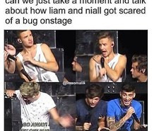awesome, bug, fear, funny, liam payne, lol, niall horan, one direction ...