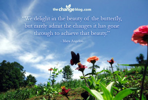 We Delight In The Beauty Of The Butterfly, But Rarely Admit The ...