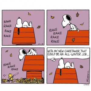 Snoopy, an equal opportunity employer!