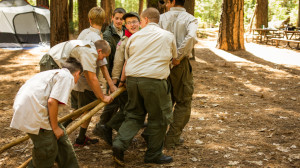 Mobile Tablet Print Wallpaper