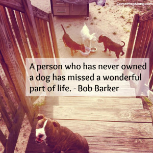 person who has never owned a dog has missed a wonderful part of ...