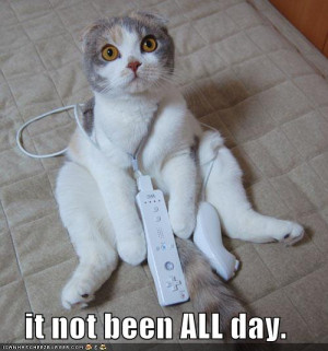 funny-pictures-cat-wii-excuse