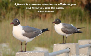 and comfortable in your true friendships and your budding ...