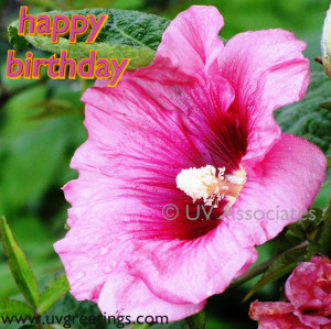 Happy-Birthday-Raindrops-on-pink-flower-ecard.png