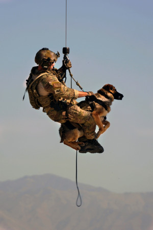 Jason Fischman hoists a U.S. Army tactical explosive detection dog ...