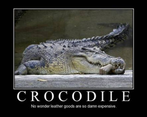 The bigger crocodiles must be removed because they have developed a ...