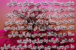 Rahman Baba Pashto Poems