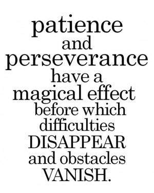 Patience and Perseverance ...