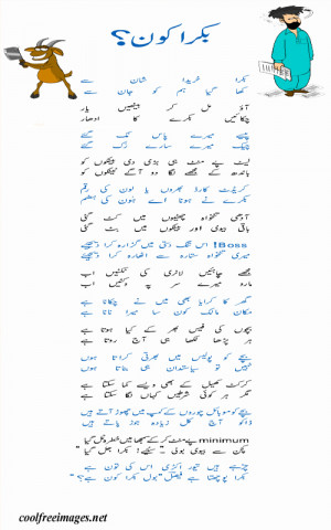 Copy and Paste the code below in your Orkut Scrap Profile Or Website