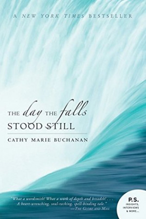 The Day The Falls Stood Still by Cathy Marie Buchanan