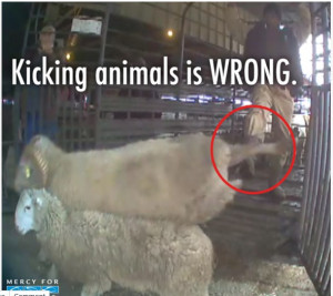 Quotes About People Killing Animals