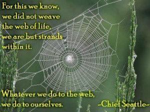 Chief Seattle was very wise!!!!