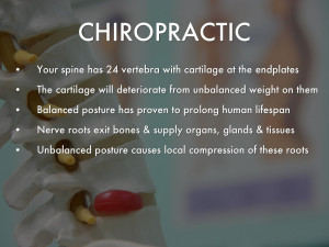 Chiropractic Myths & Facts