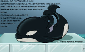 An Orcas' Incarceration by SyKoticOrKa