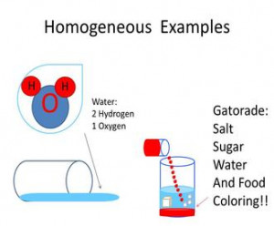 Homogeneous Mixture vs Heterogeneous Mixture