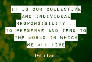 It is our collective and individual responsibility...to preserve and ...