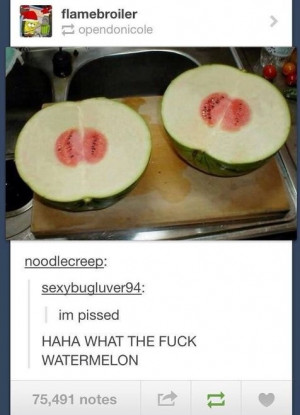 funny-picture-wtf-watermelon