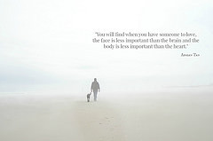 bw dog beach fog labrador sunday retriever blackdog willow quotes ...