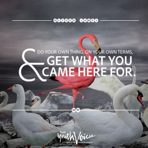 Do your own thing, on your own terms and get what you came here for ...