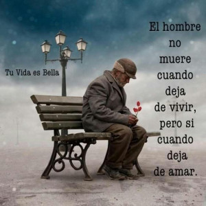 Como dejar de amar a una mujer?