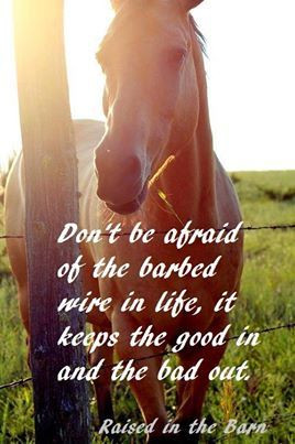 Raised in the Barn Quote