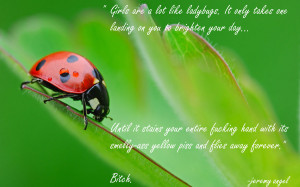 Funnies pictures about Inspirational Quotes Ladybug