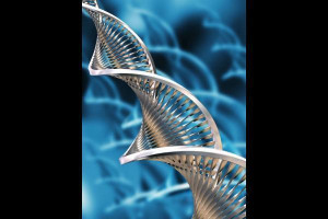 Biotechnology Picture Slideshow