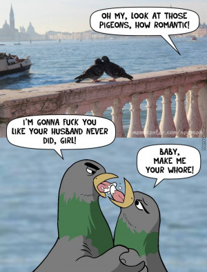 funny-picture-pigeons-romantic