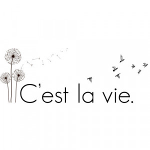 french #french quote #life #thats life #creative #cool #celbell