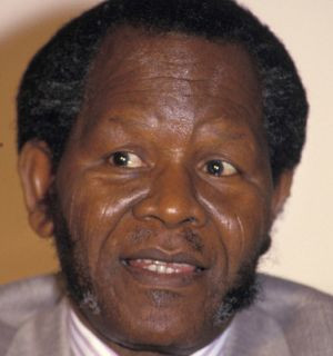 oliver tambo oliver tambo was the acting president of the african ...