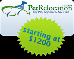 Pet Travel within the US