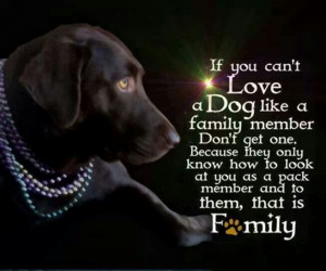 My dogs are my family.