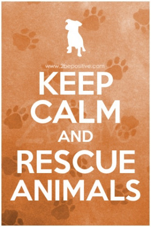 will be looking to do volunteer work with animals at rescues and ...
